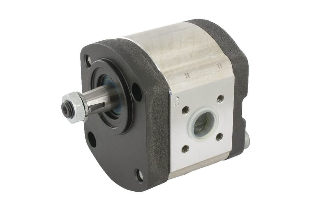 Pompa Hidraulica - 20C11X124N - Caproni