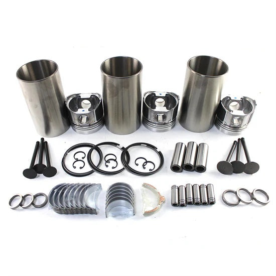 Set reparatie motor pentru motor Kubota D722, D722EBH, D722E